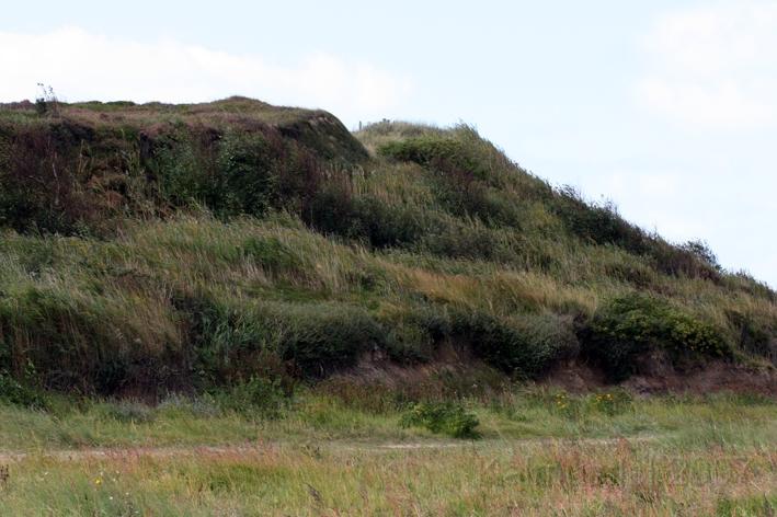 Morsum Kliff 30.jpg - Am Morsum Kliff